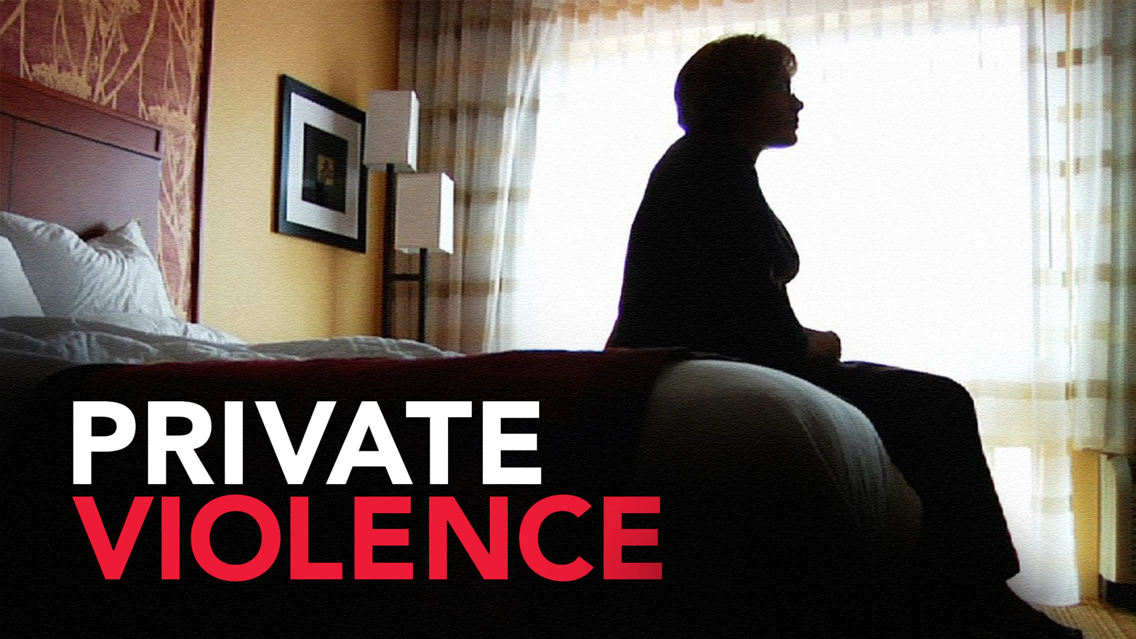 Private Violence poster